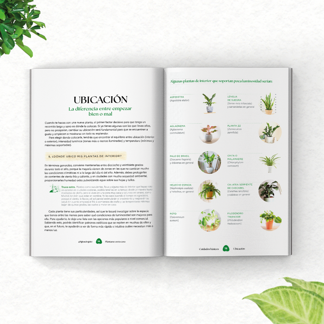 Portada Plántame en tu casa 1