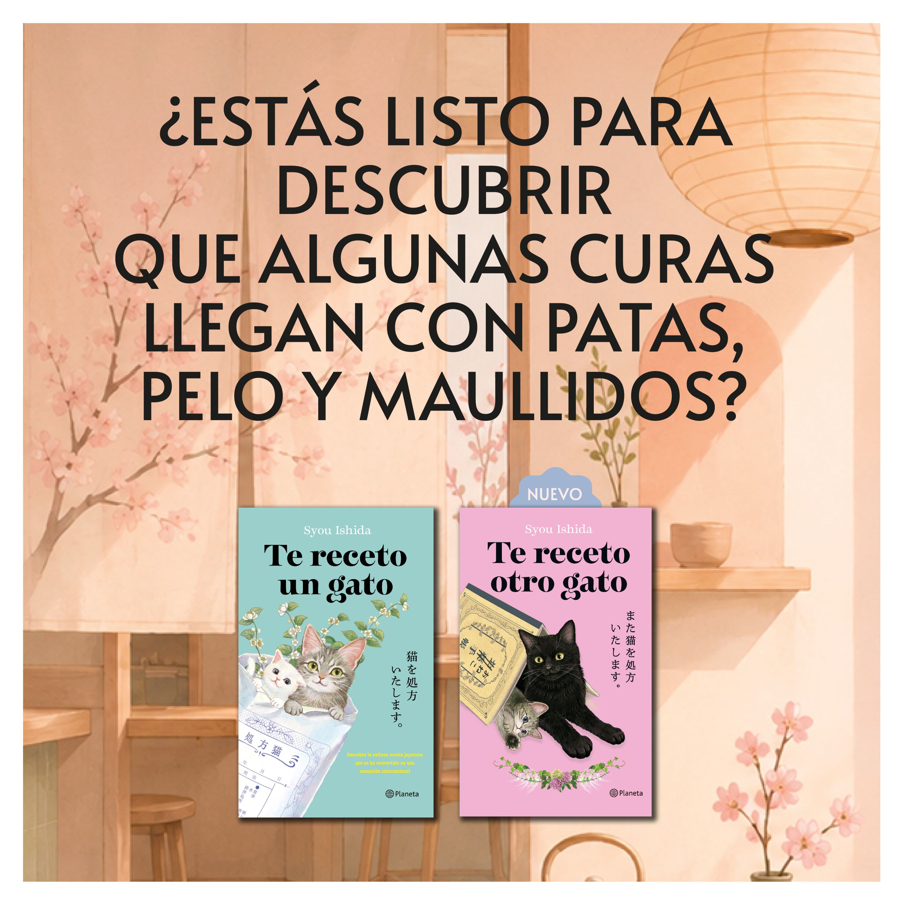 Portada Te receto otro gato 3