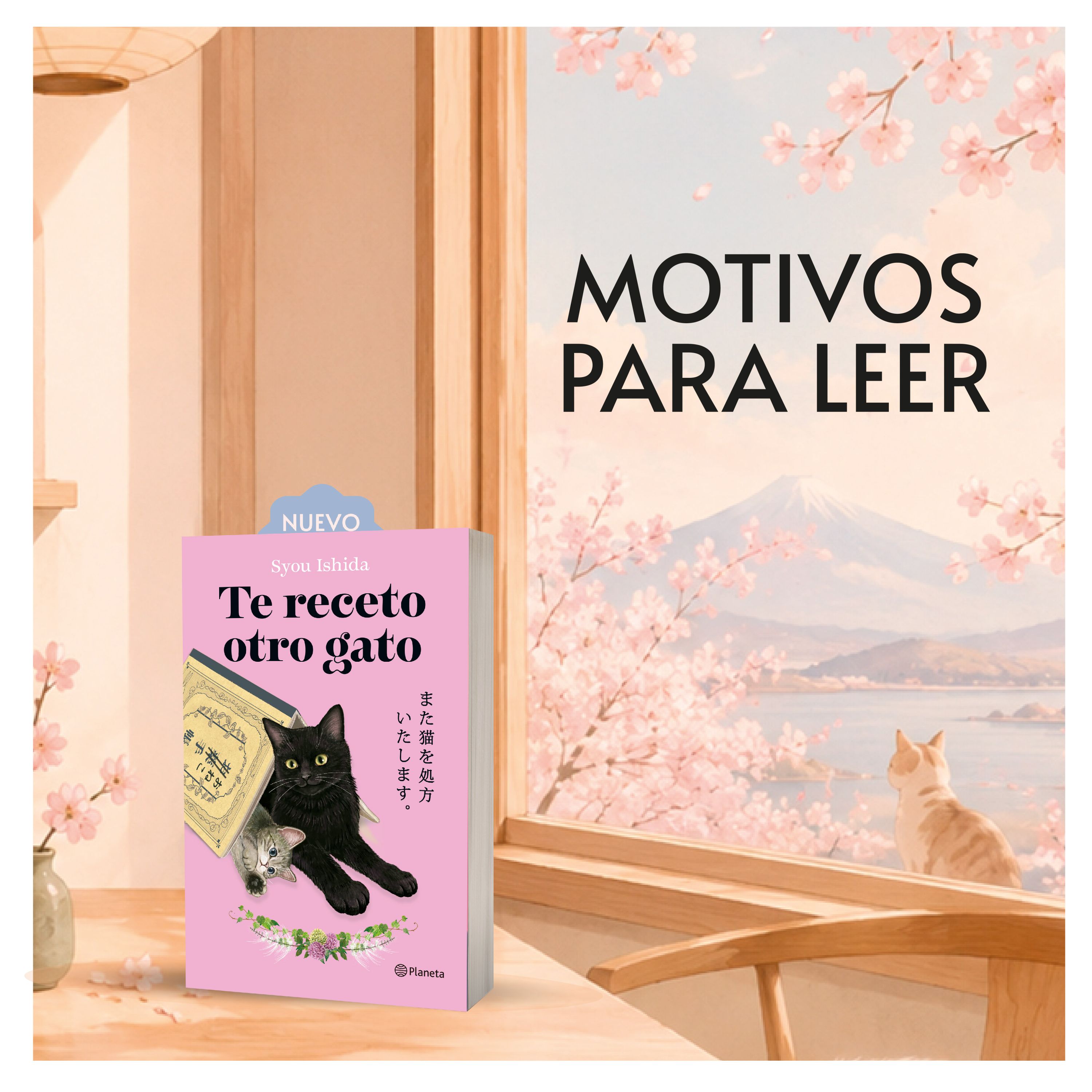 Portada Te receto otro gato 0
