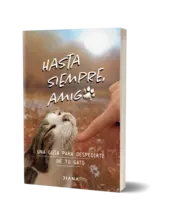 Miniatura portada 3d Hasta siempre, amigo gato
