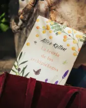 Portada La teoría de los archipiélagos 1