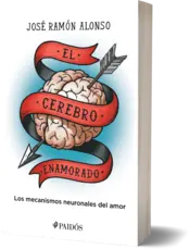 Miniatura portada 3d El cerebro enamorado
