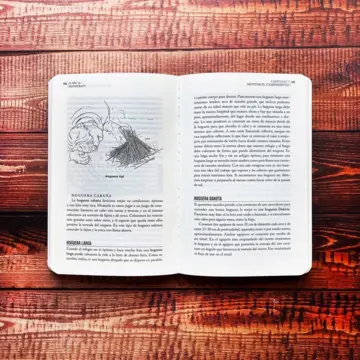 Imagen extra El ABC del bushcraft 1