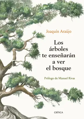 Portada Los árboles te enseñarán a ver el bosque
