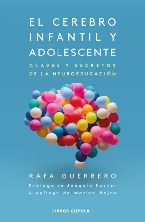 Portada El cerebro infantil y adolescente