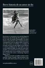 Miniatura contraportada Breve historia de un amor sin fin