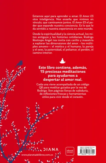 Contraportada Amor Es