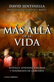 Miniatura contraportada Más allá de la vida