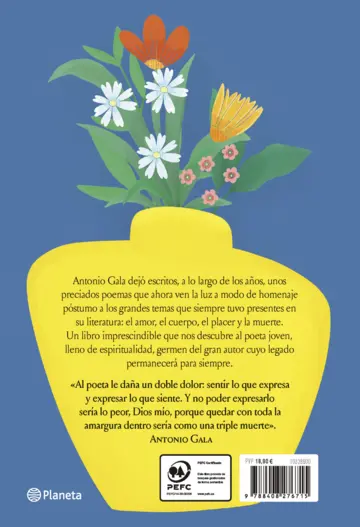 Contraportada Poemas de lo irremediable