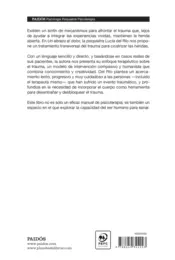 Miniatura contraportada Un abrazo al dolor