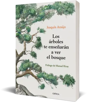Portada Los árboles te enseñarán a ver el bosque