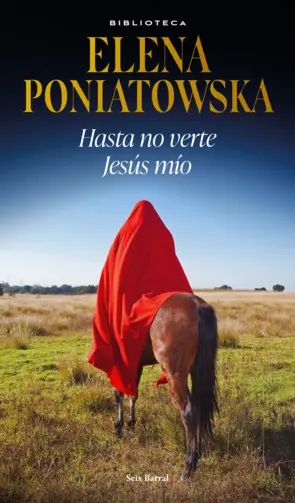 Portada Hasta no verte Jesús mío