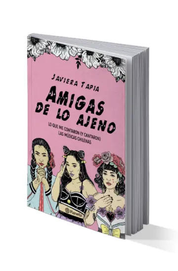 Portada Amigas de lo ajeno