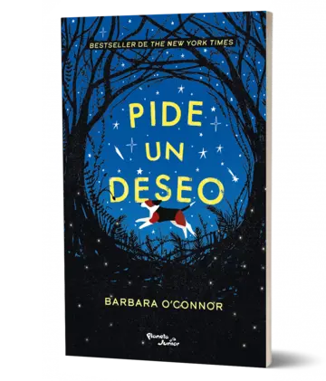 Portada Pide un deseo