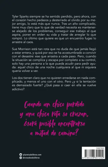 Contraportada Tyler. Piezas rotas