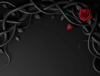 Imagen de fondo Saga Acotar